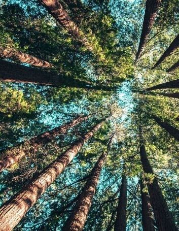 Why UK Family Tree Search Is a Crucial Procedure