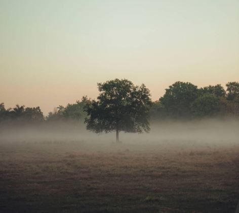 How to Find the Rightful Owner or Heir of an Abandoned House in the UK
