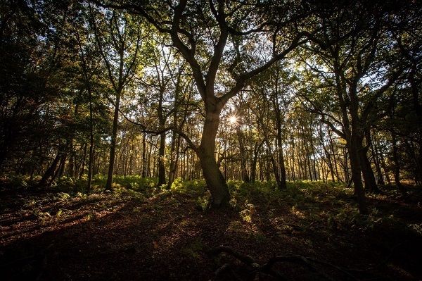 What Happens to an Abandoned Property in the UK?