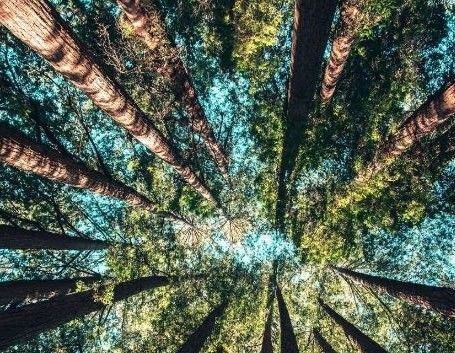 The Growing Demand of UK Family Tree Search
